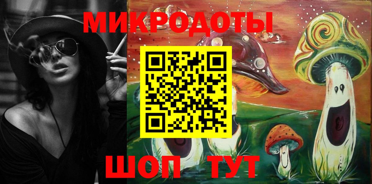 Галлюциногенные грибы Psilocybine cubensis Ликино-Дулёво