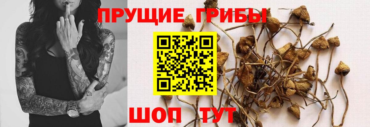даркнет сайт  Псилоцибиновые грибы мухоморы  Вход с VPN  Ликино-Дулёво 
